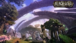 Оригинальная MMORPG Black Gold Online