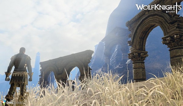 Wolfknights Online