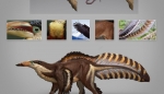MMORPG Skyforge