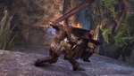 Neverwinter online PvP обновление