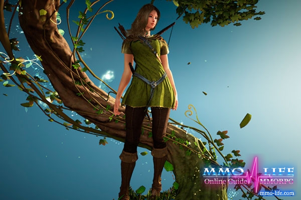 MMORPG Black Desert Online