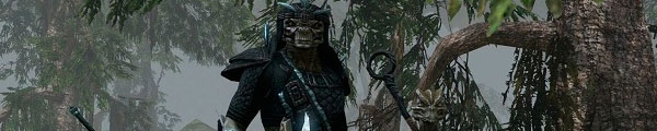 MMORPG Pathfinder Online тесты